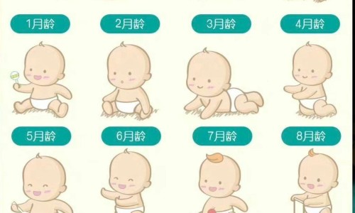冠心病饮食清单-冠心病食谱三餐安排表、冠心病营养膳食食谱 -冠心病营养膳食网